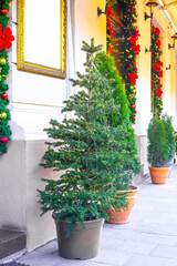 Christmas tree in big pot on town street. Decorated potted xmas trees, lights garland