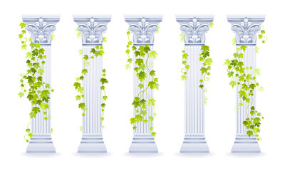 Vector ivy column. Greek marble architecture pillar set with green ivy leaf. Illustration with vine plant climbing on antique column. Ancient roman, greek design watercolor decoration for wedding, etc