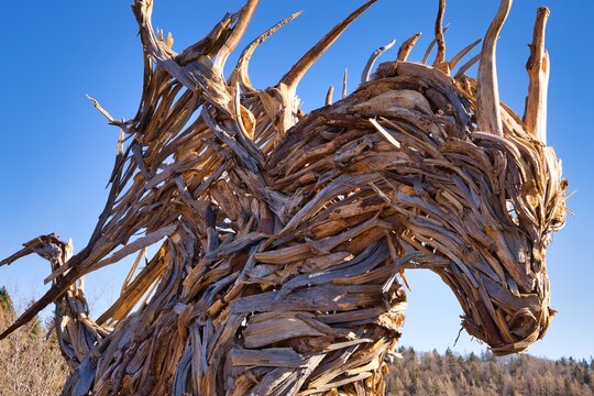 Drago vaia Lavarone trentino alpe cimbra