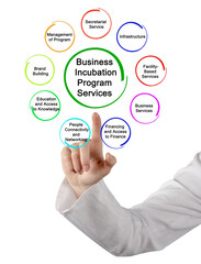 Nine Business Incubation Program Services.