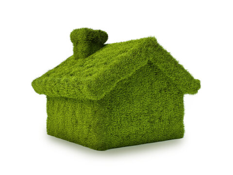 Green grass covered little house