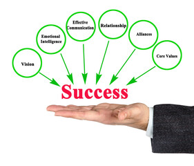 Six Drivers of Professional Success