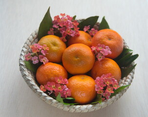 Basket of  of mandarines, mandarin orange (Citrus reticulata), medicinal plant with edible orange fruits, kalanchoe flowers