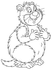 Naklejka premium Funny fat groundhog with chubby cheeks standing on hind legs, black and white outline vector cartoon illustration for a coloring book page