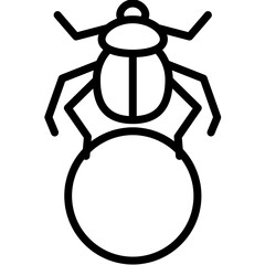 scarab