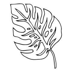 Simple hand drawn doodles. tropical leaves silhouette vector. Hand drawn silhouette palm leaf icon on white background. Cartoon sketch element: greenery Arecaceae, Palmae Palm Leave