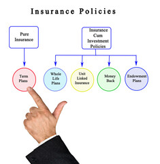 Five types of Insurance Policies
