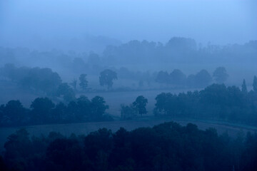 paysage brume