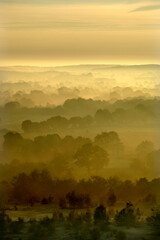 paysage brume