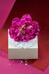 Purple rose decorated on a paper box with snow on a dark purple background. Promote products design on bright purple background with purple rose and grey gift box. St. Valentine's day concept