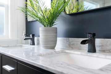 Detail of double bathroom sink with white and gray marble top and green potted plant. - Powered by Adobe