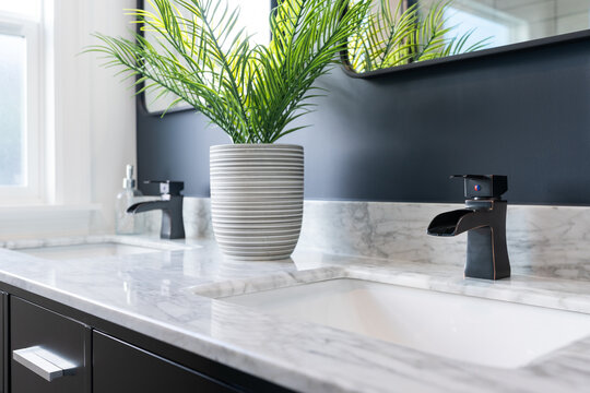 Detail of double bathroom sink with white and gray marble top and green potted plant.