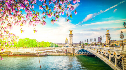 Bridge of Alexandre III, Paris, France