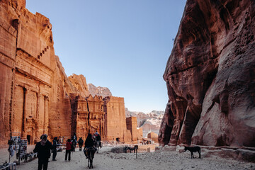Streets of the ancient city of Peter. Tourists in Petra. Facades in the rocks of Petra. Jordan