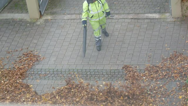 Janitors in bright light green suits remove dry fallen leaves with the help of special wind blowers