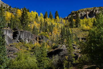 Early morning photo of a canyon with large rocks and autumn golden aspen trees near Ouray Colorado