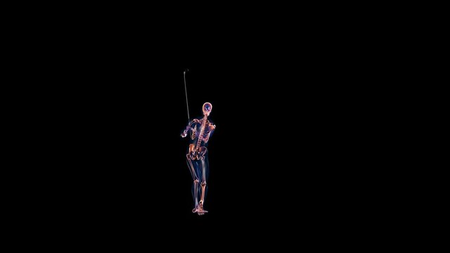 Human x-ray body and skeleton, Golf Hit, Alpha Channel