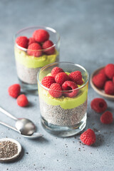Vegan chia seed pudding with raspberries and avocado. Healthy dessert or snack