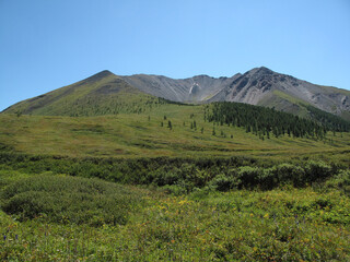 Fototapeta premium Beautiful landscape of Altay region, Russia