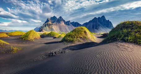 Door stickers Grey 2 Dramatic afternoon view of Stokksnes cape with Vestrahorn (Batman Mountain) on background. Amazing summer landscape of black sand dunes with green grasson the top. Travel to Iceland.