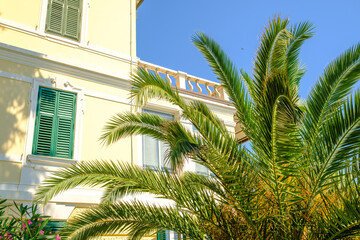 Palm tree on the background of villa with green shutters on the windows in Italian style.