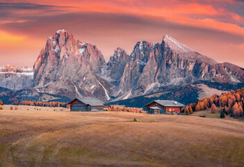 Fantastic autumn sunrise on Alpe di Siusi mountain plateau with beautiful yellow larch trees and Langkofel (Sassolungo) mountain on background. Amazing morning view of Dolomite Alps, Italy, Europe. © Andrew Mayovskyy