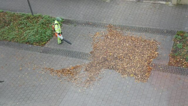 Janitors in bright light green suits remove dry fallen leaves with the help of special wind blowers