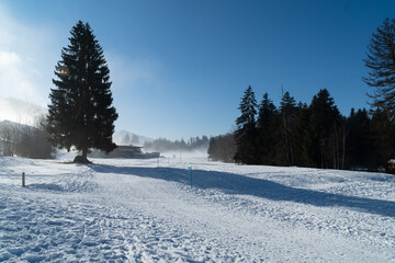 Zugerberg im Winter mit Pulverschnee und strahlendem Sonnenschein, Kanton Zug, Schweiz. Januar 19