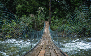 Wood bridge / puente de madera en bosque verde