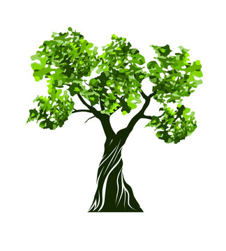 Green Tree with Leaves. Vector outline Illustration. Plant in Garden and Forest.