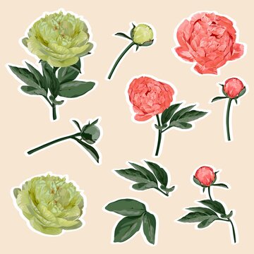 Set of peony flowers elements. Set of stickers, pins, patches and handwritten notes collection stikers kit.