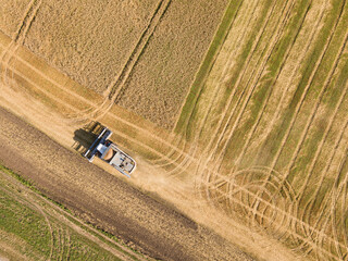 combine harvest wheat in the field. Harvesting machine working in the field. Aerial view from the drone. concept
