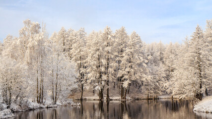 Fototapeta na wymiar Park with snow-covered trees in winter. The river Svisloch