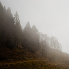 Foggy landscape from Asiago plateau trekking path