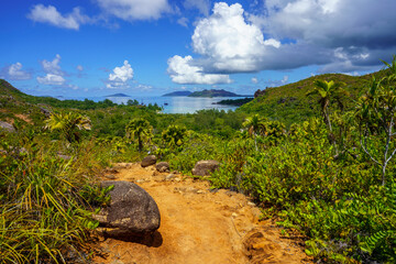hikink through the jungle on curieuse island on the seychelles