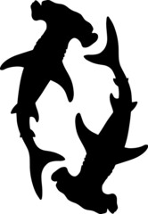 Black and white vector illustration of shark. Silhouette of a sea monster. Terrible bloodthirsty predator. A monster of the ocean depths. A symbol of aggression and anger. Angry fish with big teeth