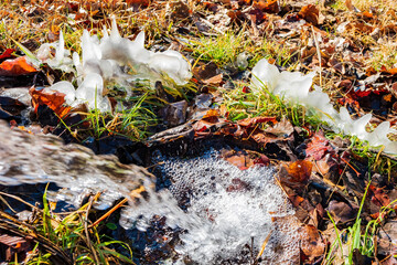 Close up shot of grass frozen on the ground with some water in the Eagle trail