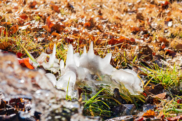 Close up shot of grass frozen on the ground with some water in the Eagle trail