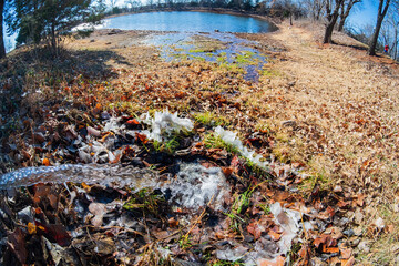 Close up shot of grass frozen on the ground with some water in the Eagle trail
