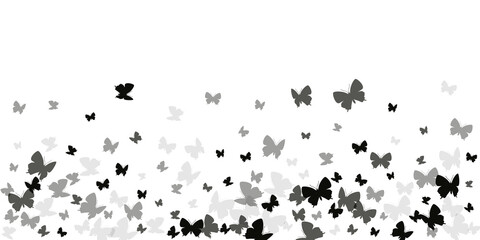 Magic black butterflies cartoon vector wallpaper. Summer ornate insects. Wild butterflies cartoon dreamy background. Gentle wings moths patten. Nature beings.