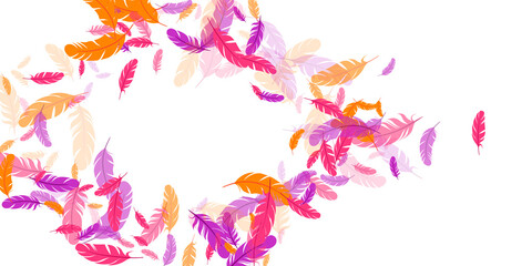 Fototapeta na wymiar Orange purple pink red feather floating background