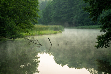 dzika rzeka o poranku spowita mgłą