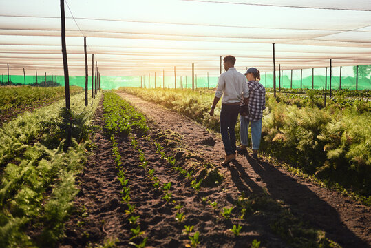 Getting up close and personal with their crops