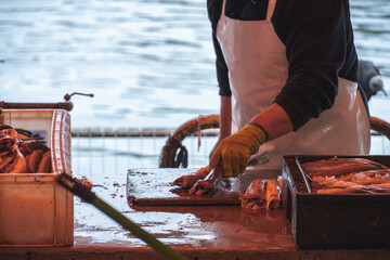 Hombre trabajando en mercado fluvial de valdivia chile, cortando pescado - obrazy, fototapety, plakaty