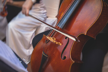 Concert view of a contrabass violoncello player with vocalist and musical band during jazz...