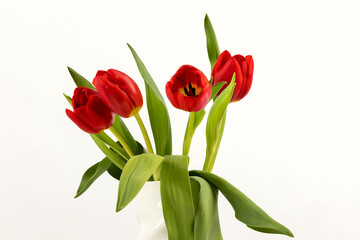 Tulpen