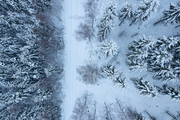 Winter from the sky