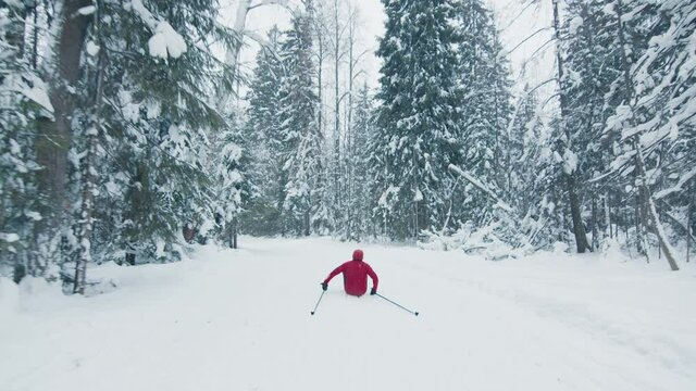 Skier falls. Young man in red suit skiing in the forest and falls