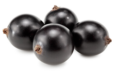 black currant isolated on white background. macro. clipping path