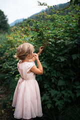 Young girl picking wild raspberries in the forest 